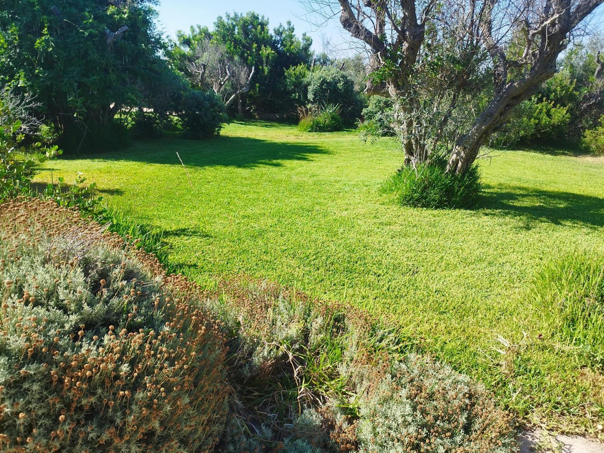 Rizzorelax B&B Io Mammata E Tu Capilungo Dış mekan fotoğraf